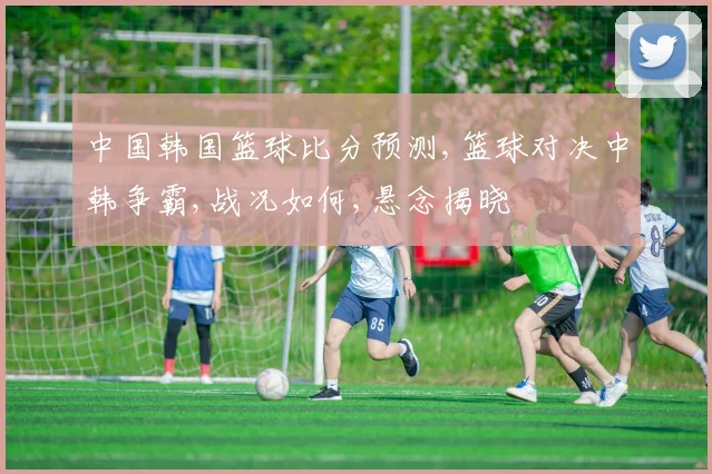 中国韩国篮球比分预测,篮球对决中韩争霸,战况如何,悬念揭晓