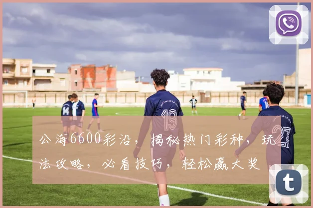 公海6600彩沿，揭秘热门彩种，玩法攻略，必看技巧，轻松赢大奖