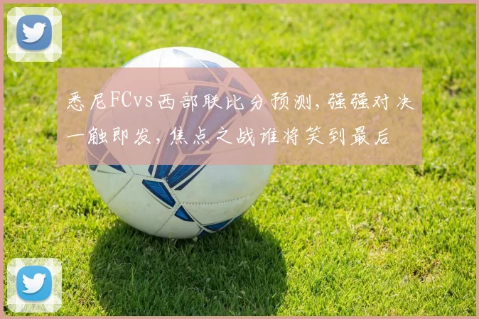 悉尼FCvs西部联比分预测,强强对决一触即发,焦点之战谁将笑到最后