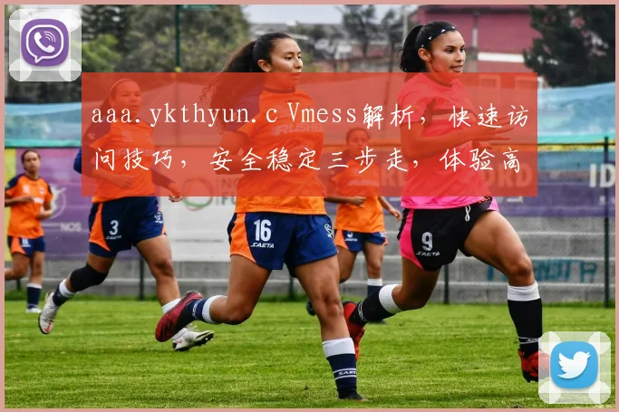 aaa.ykthyun.c Vmess解析，快速访问技巧，安全稳定三步走，体验高效网络生活