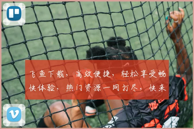 飞鱼下载，高效便捷，轻松享受畅快体验，热门资源一网打尽，快来体验