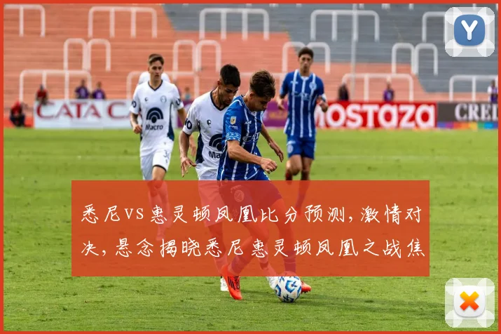 悉尼vs惠灵顿凤凰比分预测,激情对决,悬念揭晓悉尼惠灵顿凤凰之战焦点前瞻